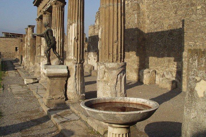 Pompeii with Wine Tasting and Lunch from Naples