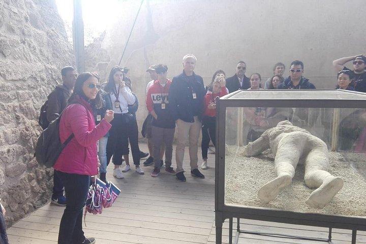 Pompeii with Wine Tasting and Lunch from Naples