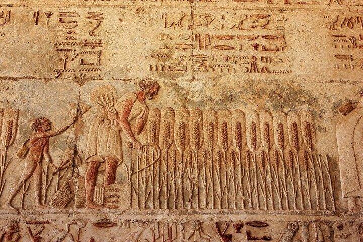 Full Day Tour To EL Minya Egypt