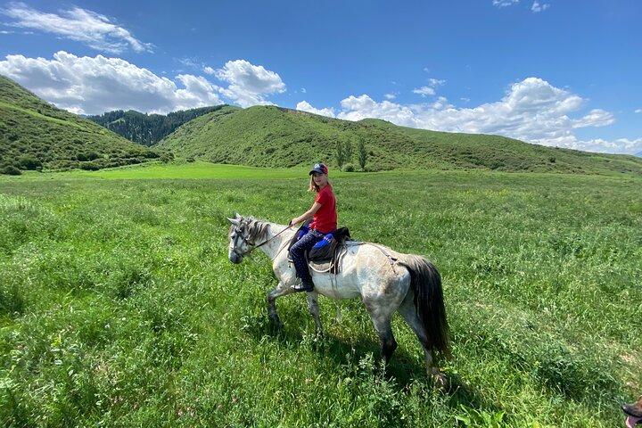 Un magnífico paseo a caballo en el valle de Chon Kemin, 1 día
