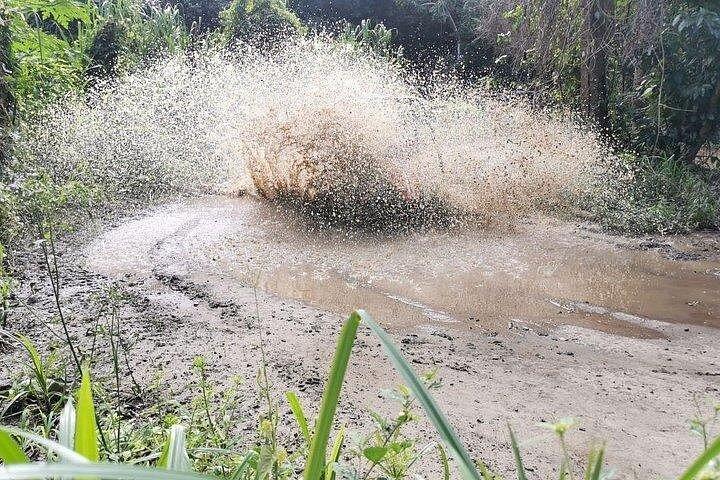 Roatan Sloth Off Road Buggy Mud Adventure + Beach(Beers & Snacks)