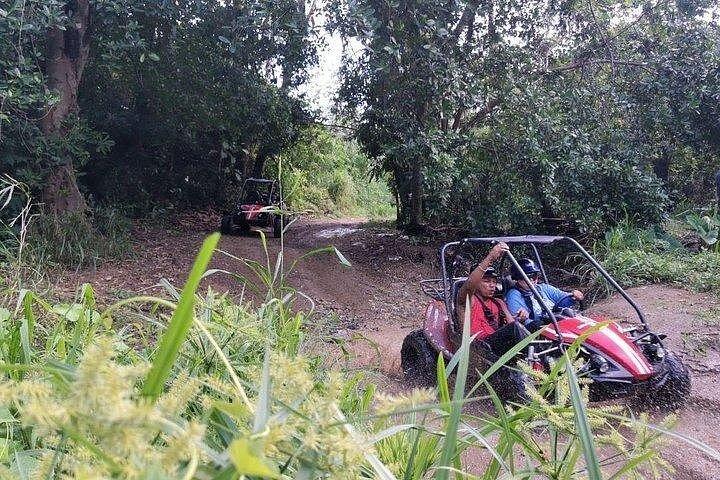 Roatan Sloth Off Road Buggy Mud Adventure + Beach(Beers & Snacks)