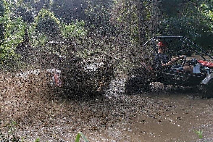 Roatan Sloth Off Road Buggy Mud Adventure + Beach(Beers & Snacks)