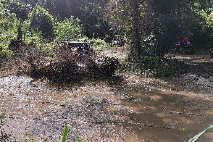 Roatan Sloth Off Road Buggy Mud Adventure + Beach(Beers & Snacks)