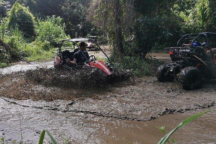 Roatan Sloth Off Road Buggy Mud Adventure + Beach(Beers & Snacks)