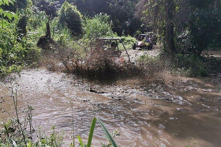 Roatan Sloth Off Road Buggy Mud Adventure + Beach(Beers & Snacks)