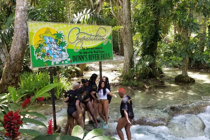 Dunn's River Falls e River Tubing con pranzo da Falmouth