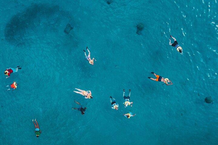 Waikiki : Aventura de buceo con tubo de tortuga de 2 horas