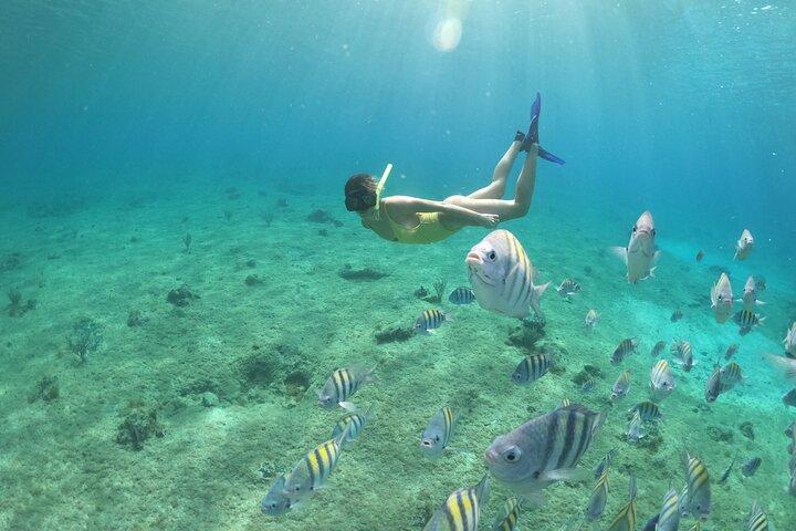 Cozumel ClearBoat Abenteuer mit Schnorcheln