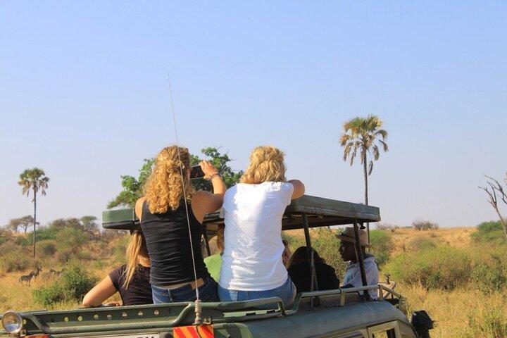Safari classico privato di 11 giorni nel sud della Tanzania
