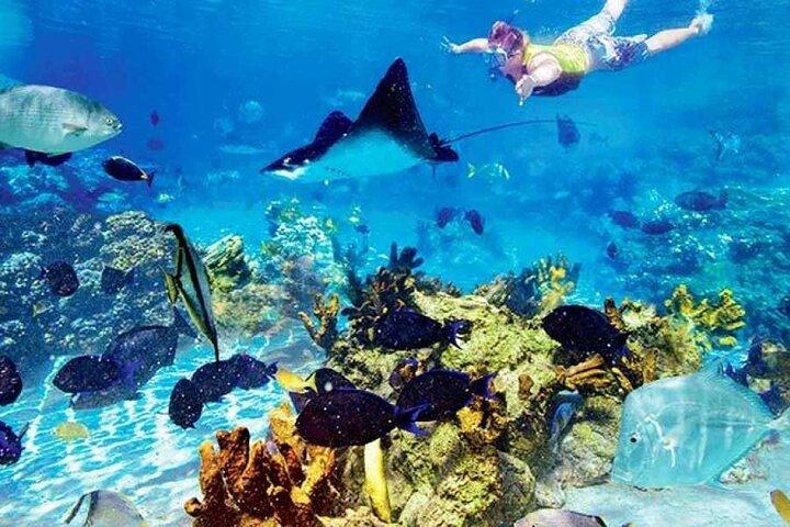 Viagem de mergulho na ilha Tiran de barco em Sharm El Sheikh