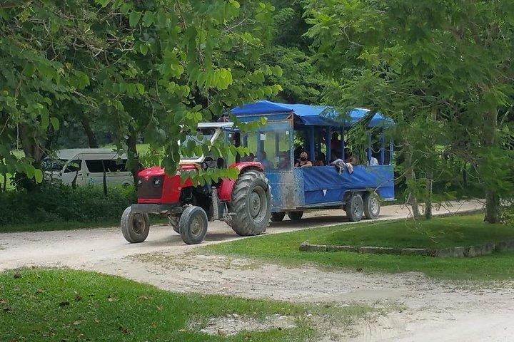 Appleton Estate Rum Tour and Pelican Bar Customize Tour