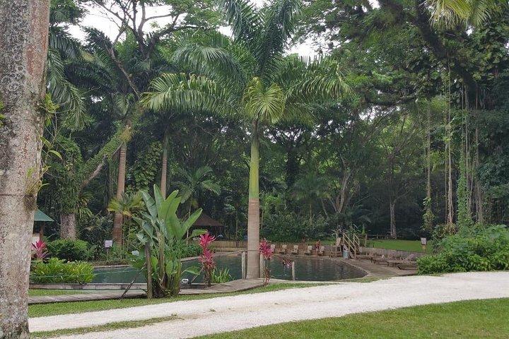 Appleton Estate Rum Tour and Pelican Bar Customize Tour