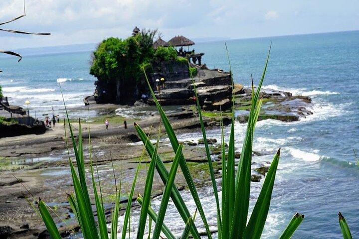 Privat rundtur The Beauty of Jatiluwih Rice Terrace