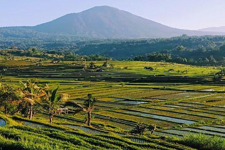 Viaje privado a Jatiluwih Rice Terrace Templos mundiales de la UNESCO