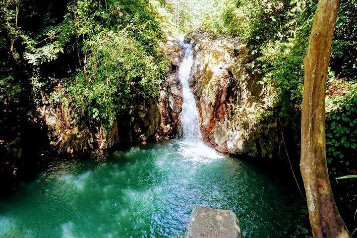Tour privato La cascata di Aling Aling Bali è davvero un paradiso