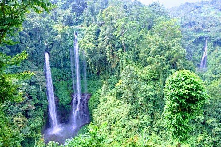 Privat tur til Marvelous Sekumpul Waterfall
