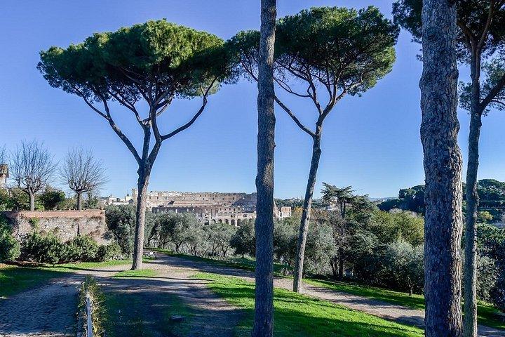 Rome : Colisée, Colline Palatine et Forum Romain