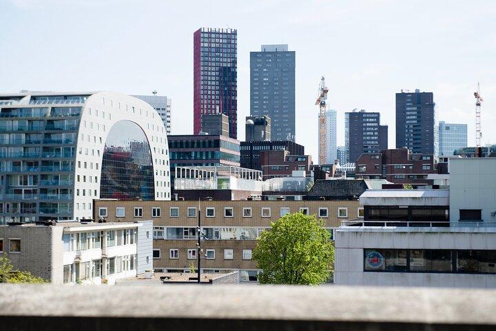 Visite des toits de Rotterdam