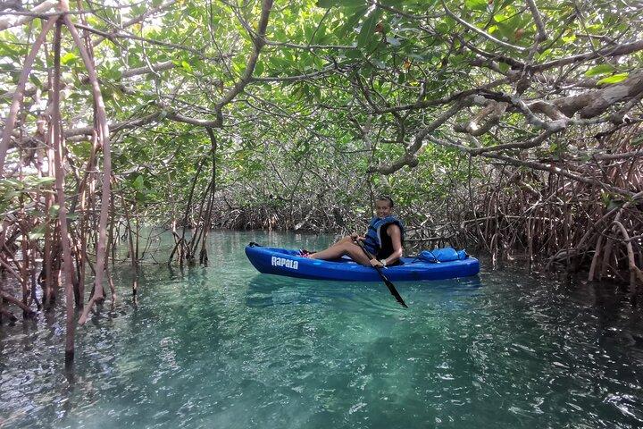 Kayak Tour por la Laguna Nichupte Cancun