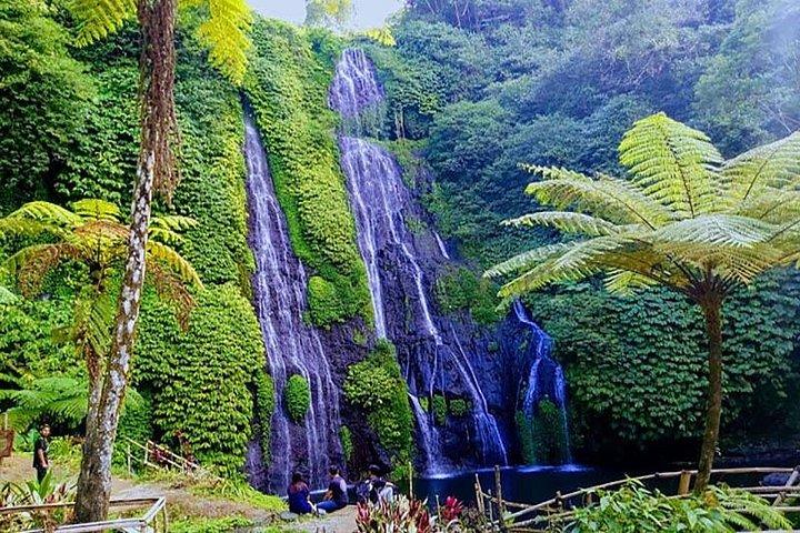 Tour privato speciale Cascata di Bayumala e Bedugul