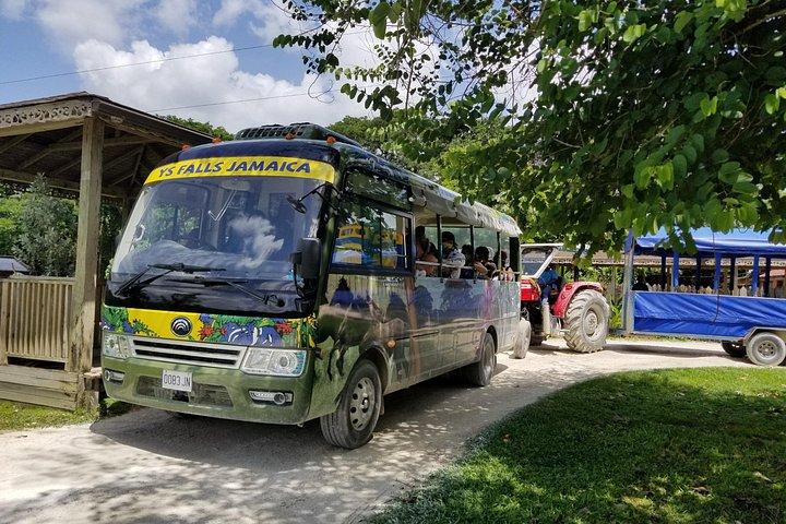 Appleton Estate Rum Tour and Pelican Bar Customize Tour