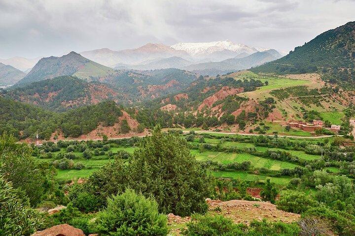 Atlas Mountains og Camel Ride dagstur