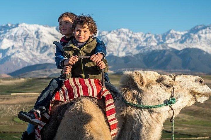 Atlas Mountains og Camel Ride dagstur