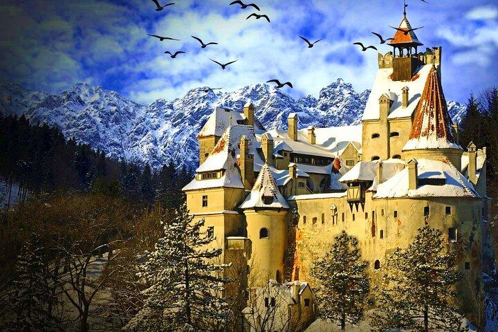 Utforska Transsylvanien: Dracula, Peles slott och Brasov privat rundtur
