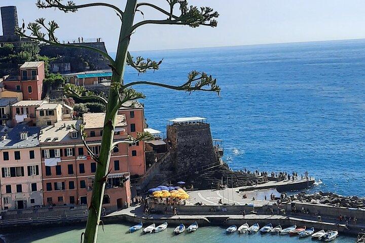 Dagtour Cinque Terre met kleine groep vanuit Montecatini