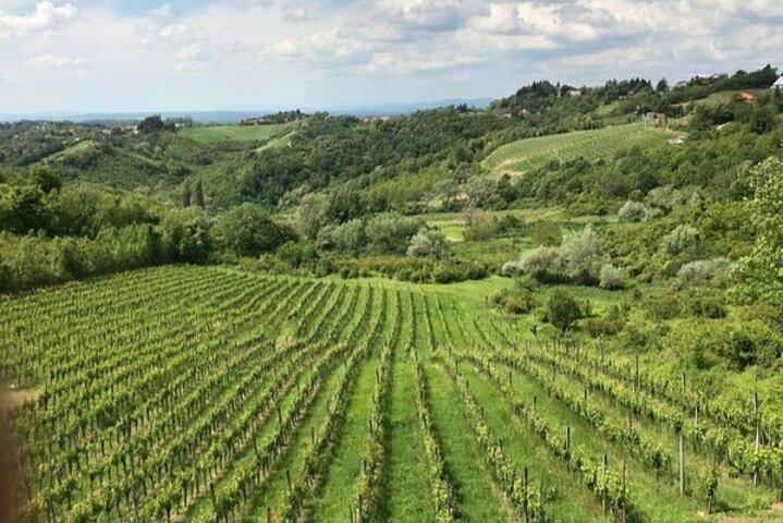 The Dionysus Tour - Degustação de vinhos em Plešivica e visita a Samobor