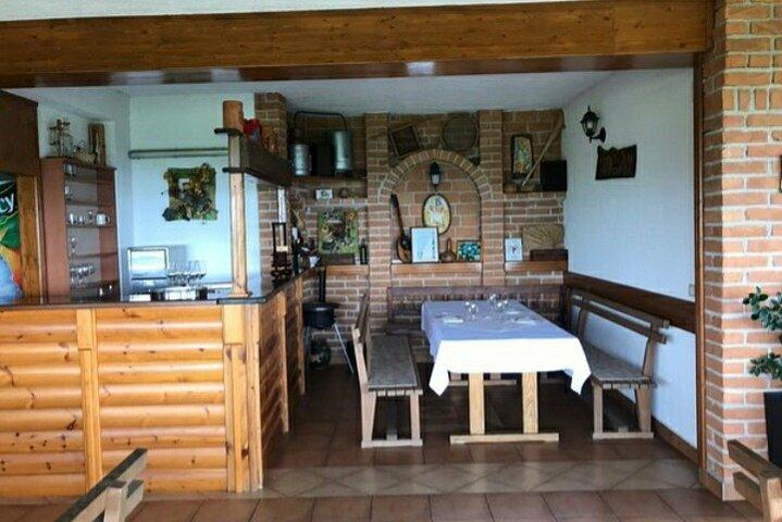The Dionysus Tour - Degustação de vinhos em Plešivica e visita a Samobor