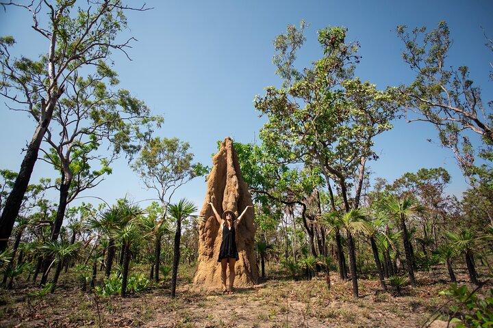 湿地帯またはクロコダイルクルーズ付きのリッチフィールド国立公園ツアー