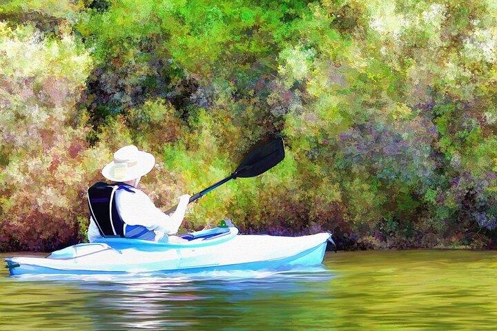 Kayaking On River Nerul In Goa