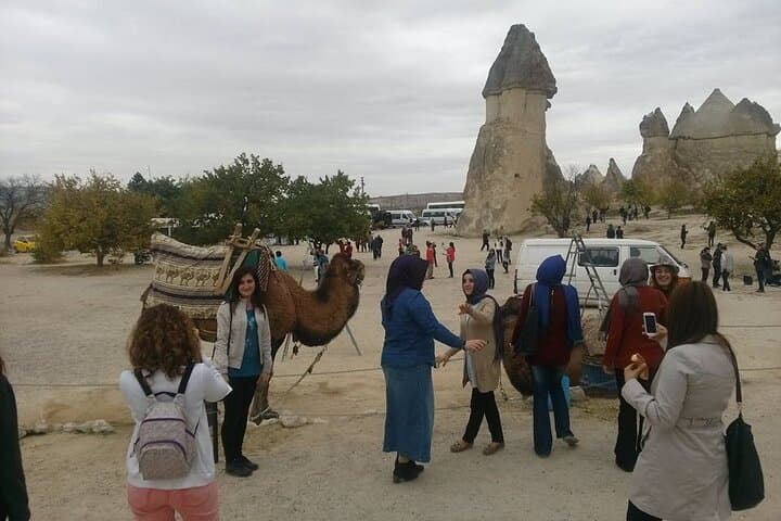 Cappadocia-Ephesus-Pamukkale from Istanbul by Flight (Hot-Air Balloon Optional)