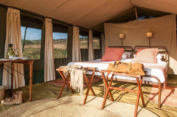 7 dages Tanzania luksussafari