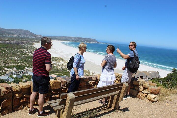 Shark Cage Diving + Wine Tasting Private From Cape Town F/D
