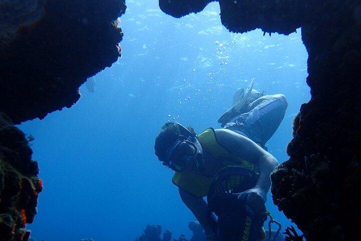 Schnorcheln Sie mit Sea Scootern in kleinen Gruppen am Mangel Halto Beach auf Aruba