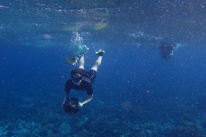 Schnorcheln Sie mit Sea Scootern in kleinen Gruppen am Mangel Halto Beach auf Aruba
