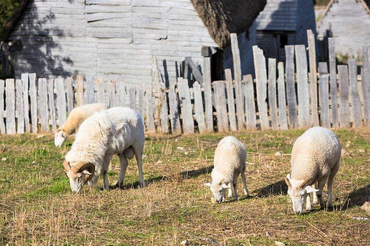 Excursión de un día de Boston a Plymouth, que incluye Quincy, Plimoth Patuxet y Mayflower II