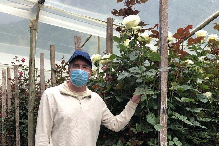 Tour privado a las aguas termales de Papallacta con visita opcional a la plantación de rosas