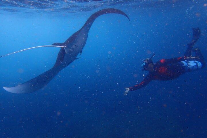 Da Lembongan: Snorkeling Day Trip a Nusa Lembongan e sull'isola di Nusa Penida