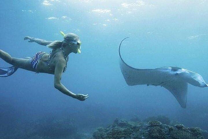 Da Lembongan: Snorkeling Day Trip a Nusa Lembongan e sull'isola di Nusa Penida