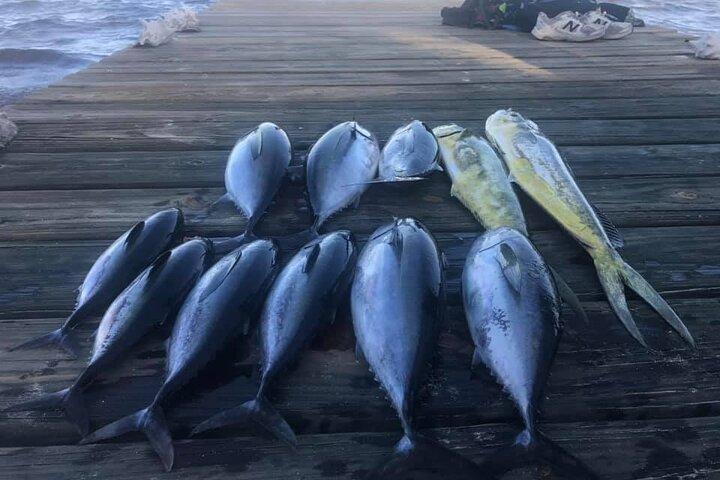 Churrasco na praia com mergulho com snorkel e pesca