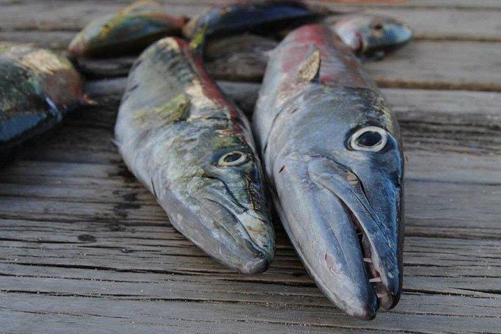 Beach BBQ with Snorkeling & Fishing