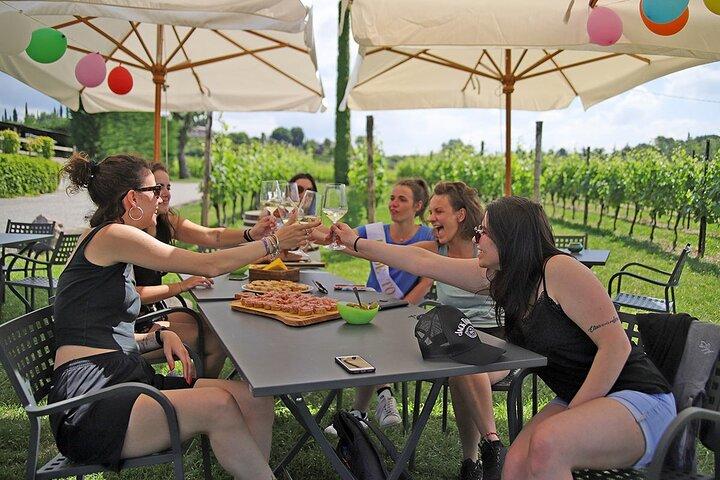 Wein- und Speisenverkostung in den Weinbergen von Lazise