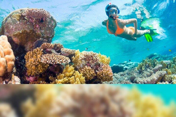 3 - Day Florida : Miami Bus & Boat, Everglades & Key West シュノーケリング