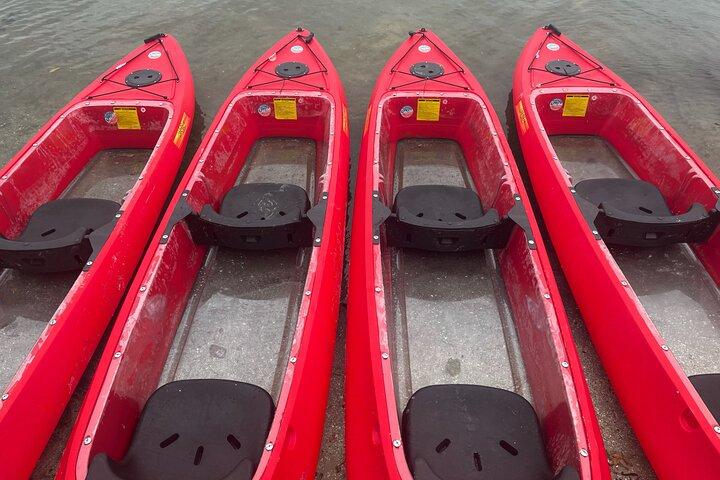 Indian River Clear Bottom Kayak oder Paddleboarding Seekuh- und Delfintour