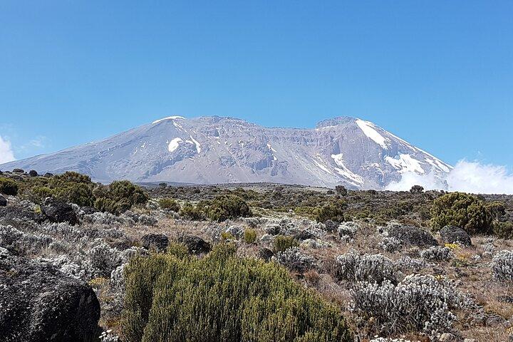 8 dagars Kilimanjaro Lemosho-klättring