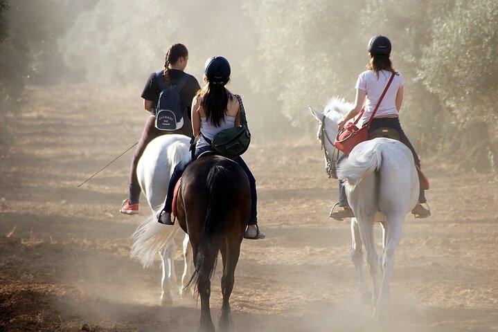 Visite à cheval de Grenade et de la Sierra Nevada
